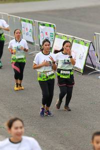 BIB: 
                            <button type="button" onclick="openModal(3560739)" class="btn btn-primary btn-sm float-right btn-popup" data-toggle="modal" data-target=".modal-high-quality">
                        <i class="fas fa-shopping-cart"></i> Add to Cart
                    </button>
                                            <button type="button" onclick="isThisMe(3560739, true)" class="btn btn-success btn-sm float-right btn-popup btn-isme hidden" data-toggle="tooltip" data-placement="bottom" title="นี่คือรูปของคุณใช่ไหม คลิกที่นี่เพื่อเอาเข้าอัลบั้ม">
                        <i class="fas fa-plus"></i> Add to album
                    </button>
                    <button type="button" onclick="isThisMe(3560739, false)" class="btn btn-warning btn-sm float-right btn-popup btn-isnotme hidden">
                        <i class="fas fa-ban"></i> Remove from album
                    </button>